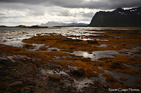 marea baja en islas Lofoten