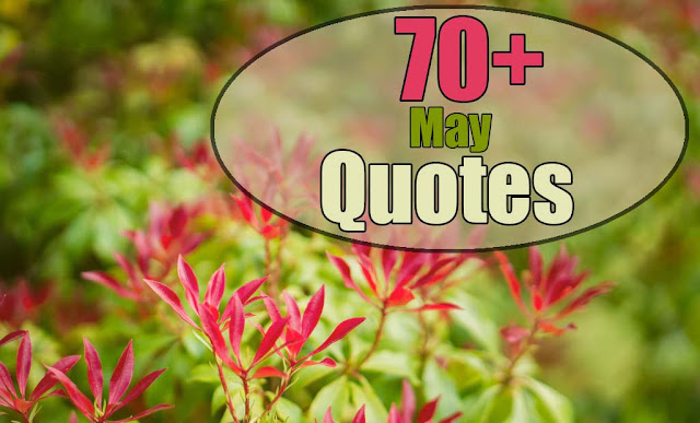 May Quotes - Quotes about May - Quotes for May