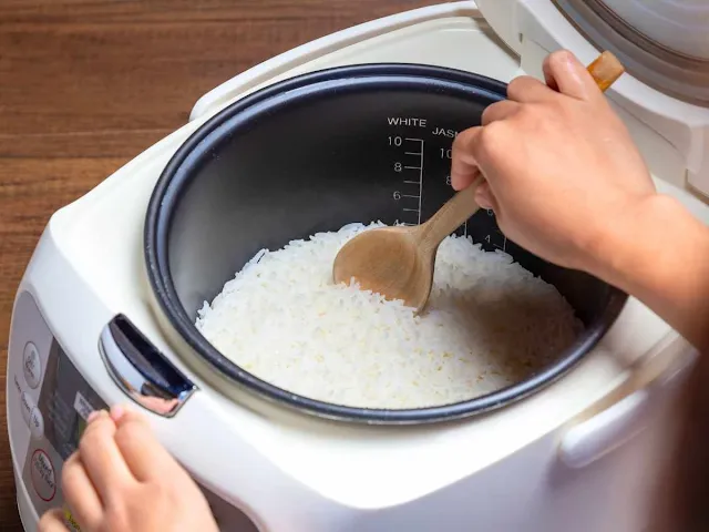 What can be cooked in a rice cooker