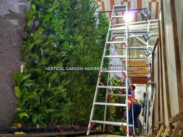 VERTICAL GARDEN INDONESIA SPESIALIS JASA PEMBUATAN VERTICAL GARDEN DI CILEGON DAN DI SELURUH WILAYAH CILEGON DENGAN TENAGA YANG PROFESIONAL DAN DAPAT DI PERCAYA YANG SELALU MENGUTAMAKAN SEBUAH MUTU DAN KUALITAS PEMASANGAN VERTICAL GARDEN/TAMAN DINDING, JASA TUKANG TAMAN VERTICAL CILEGON, JASA VERTICAL GARDEN CILEGON