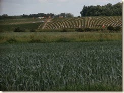 P5200462