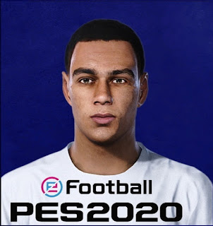 PES 2020 Faces Gregory van der Wiel by Milwalt