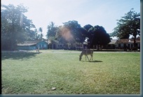 255 Trancoso