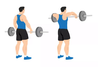 Barbell Exercises List