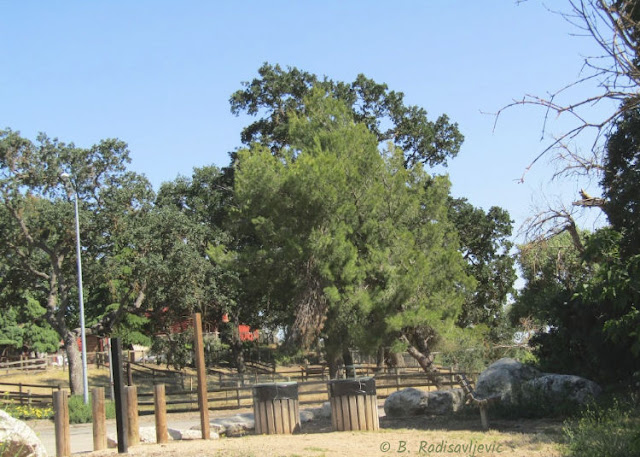 "Larry" Moore Park in Paso Robles: A Photographic Review: Salinas River Trail Beginning at South End of Park