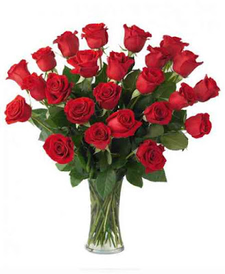  25 Red Valentine's Roses