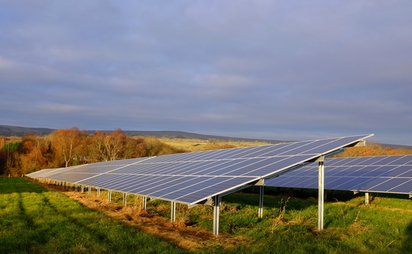 Government urged to target 40GW solar capacity by 2030