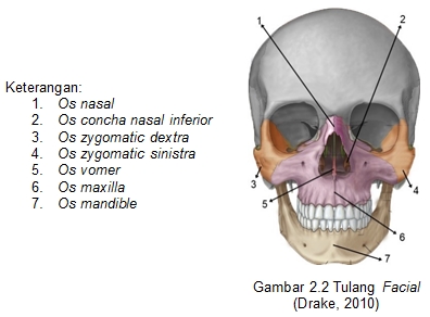 Laporan Kasus (Teknik Pemeriksaan CT-Scan Kepala pada 