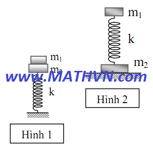 dao dong co hoc, on thi dai hoc mon vat ly