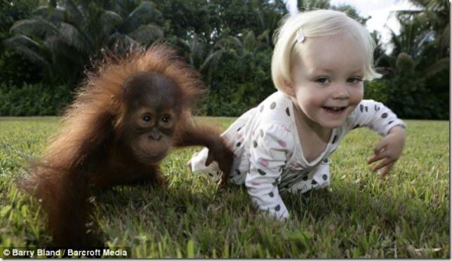 1macaco