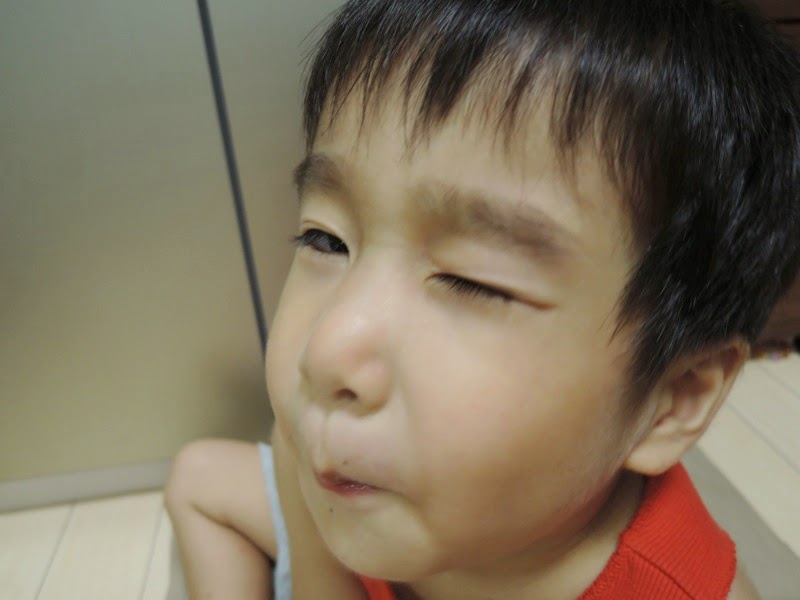 DSCN4521