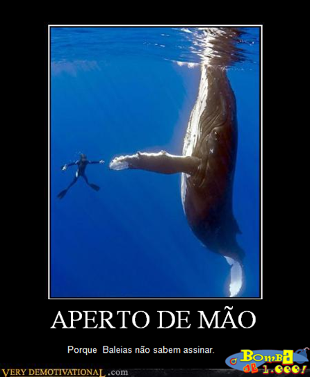 Aperto de Mão baleia