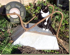 catbw3