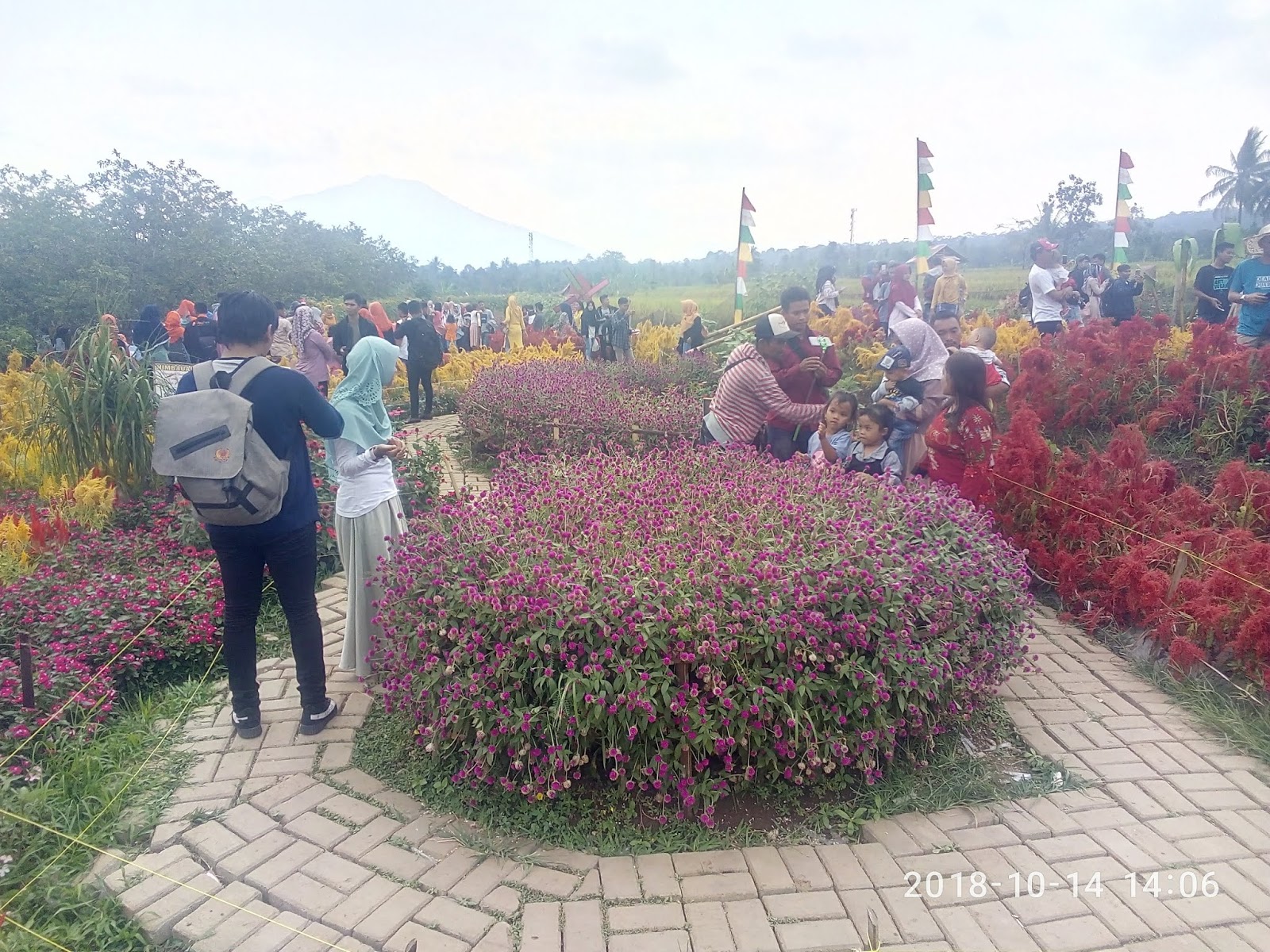 Bpd Sukaraja Taman Bunga Pandeglang Bisa Menjadi Referensi Bumdes Sukaraja