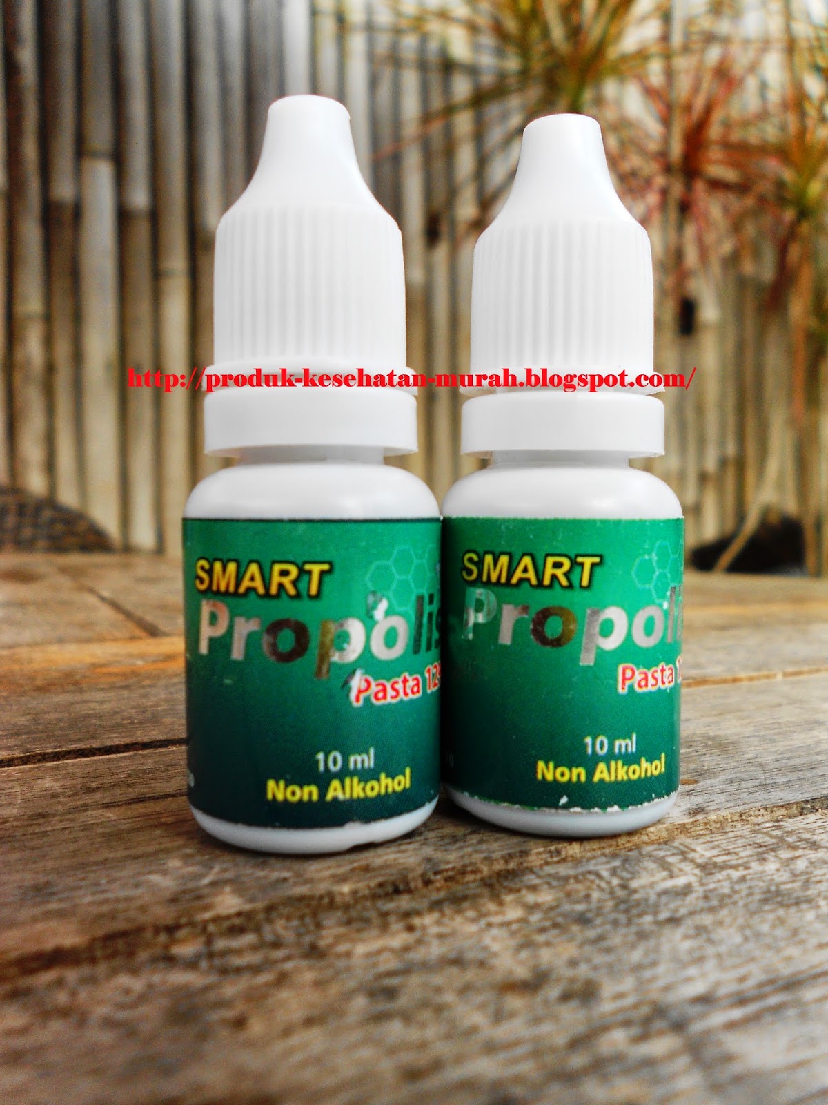 smart propolis 