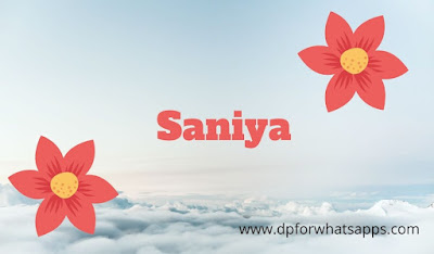 500+ saniya name dp | saniya name image | saniya name wallpaper | saniya name photo |