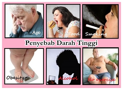 Pengobatan Herbal Darah Tinggi Terbaik