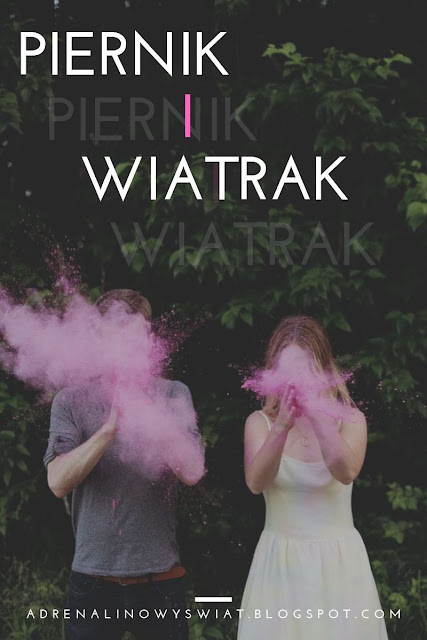 Piernik i Wiatrak (I)