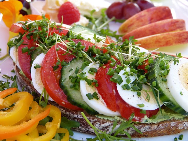 Sandwich Recipes for Every Occasion
