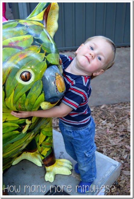 The Koala Hospital at Port Macquarie | How Many More Minutes?