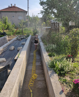 Rosie watering the plants (or me?)