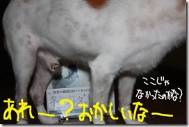 今日カズ１０１１２４　２