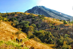 Taman Nasional Baluran Banyuwangi