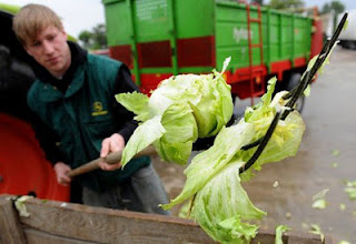 food-borne disease