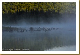 Early Morning Fog