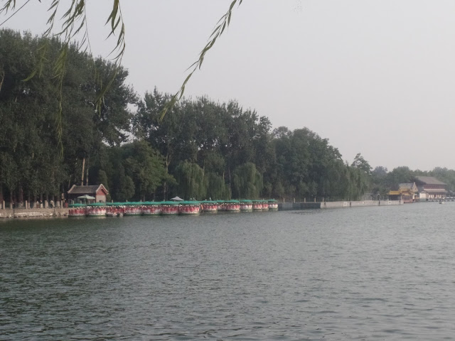 beihai park lotus boats