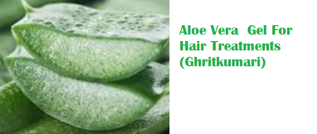 Aloe Vera  Gel For Hair Treatments (Ghritkumari)