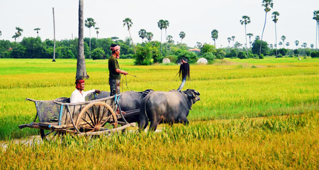 siem reap countryside tour