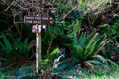 North Fork Trail Junction