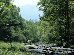 Greenbrier