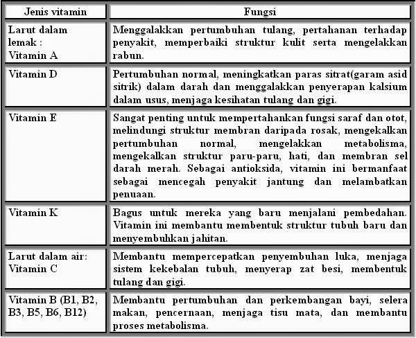 ILHAMKU HANNAH VITAHOUSE JENIS JENIS VITAMIN 