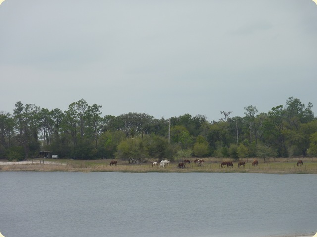 P1040894