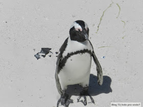 Boulders Beach