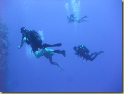 Heading for reef wall