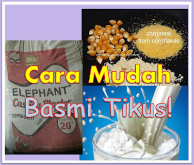 Cara Mudah Membuat Racun Tikus Homemade