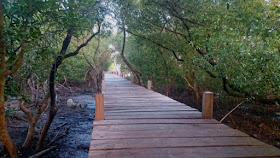 Hutan-Mangrove-Matalalang