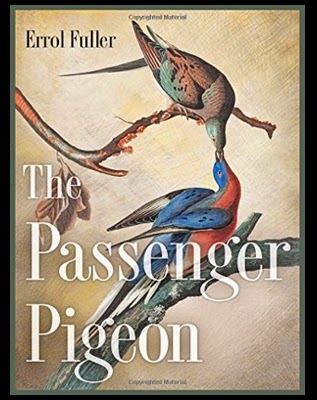 http://www.amazon.co.uk/The-Passenger-Pigeon-Errol-Fuller/dp/0691162956/ref=sr_1_1?ie=UTF8&qid=1411654899&sr=8-1&keywords=The+Passenger+Pigeon