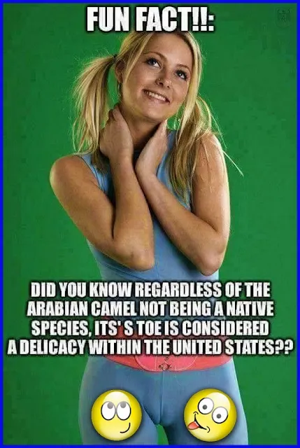 (43) Of The Best Funny Pictures & Memes On Today's Internet |Twisted Humor #adultmemes #memes #funny #humor #funnymemes #funnypictures #memesdaily #funnytexts