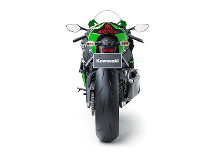 2016 Kawasaki Ninja ZX-10R Back view image