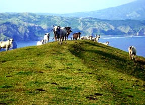 Batanes