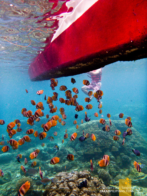 Boracay Island Hopping Snorkeling