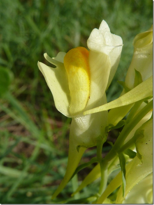 P1140076