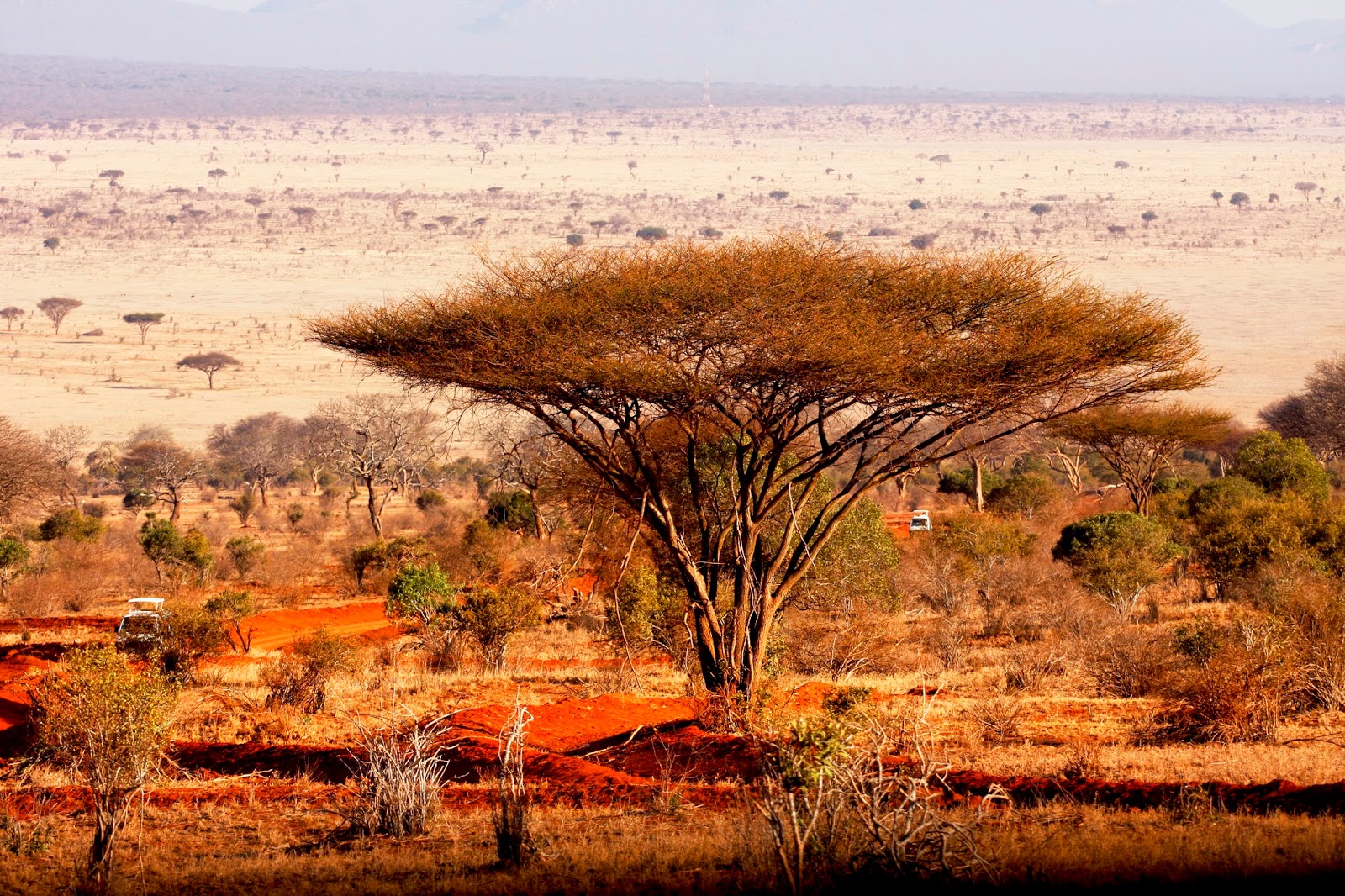 Africa Landscapes
