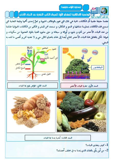 الوضعية الانطلاقية للمقطع الأول للميدان الثاني أولى متوسط للاستاذ حمو الهواري