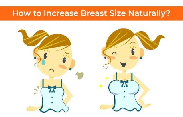 How to Increase Boobs Size Naturally At Home