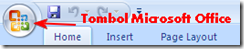 Microsoft Office Button
